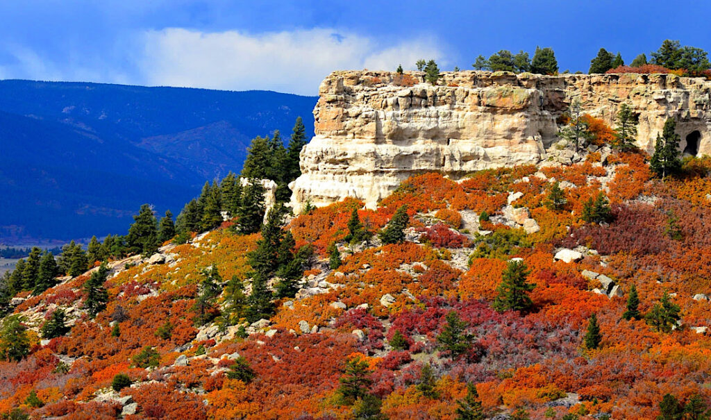 Trust your local insurance advisors in Castle Rock, CO.